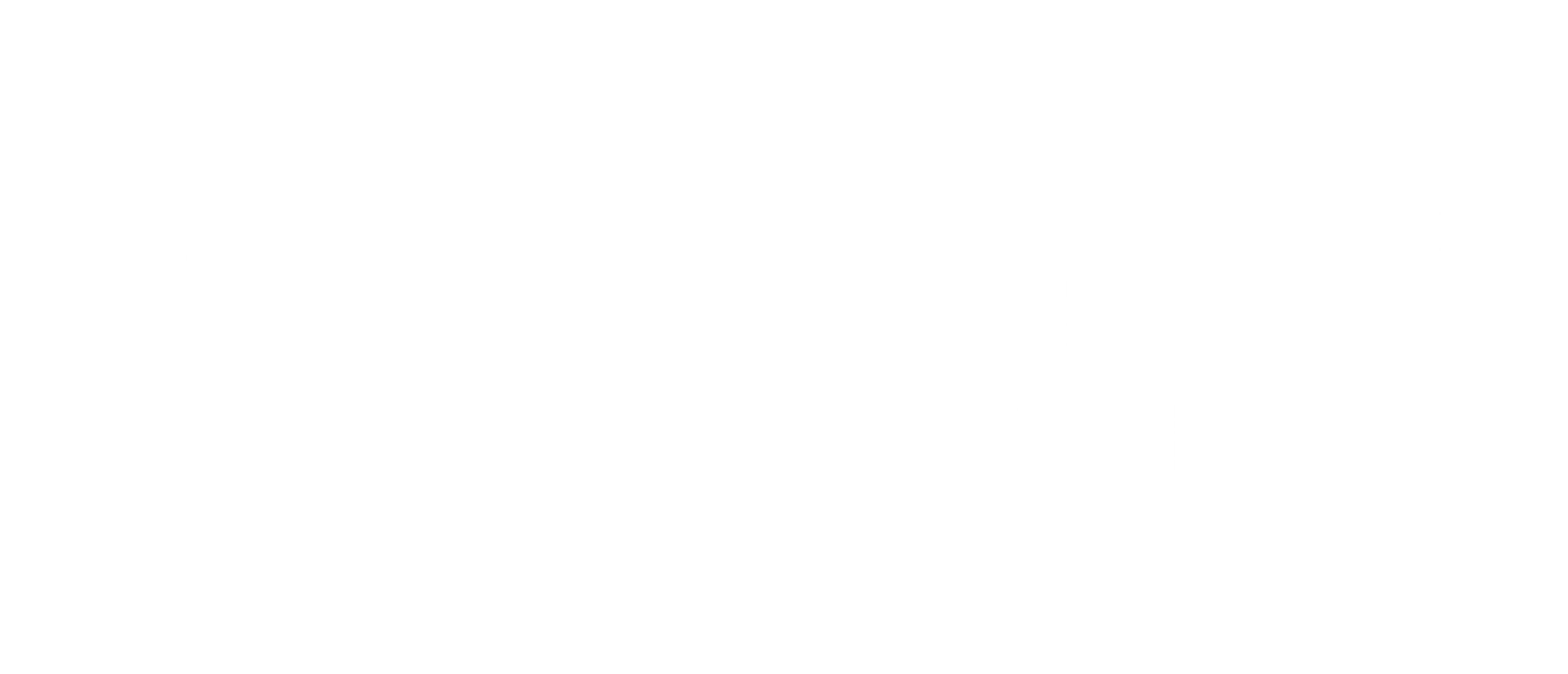 Visión Financiera